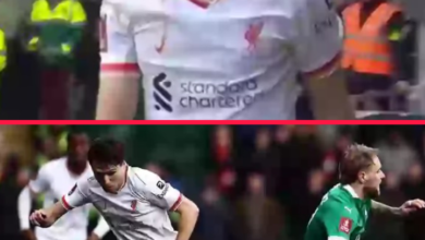 Liverpool Fans Left Disappointed with Federico Chiesa After Watching His Performance Against Plymouth