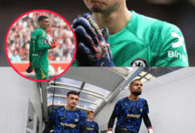 Chelsea Goalkeeper Djordje Petrovic Ready to Leave Club After Club World Cup Snub